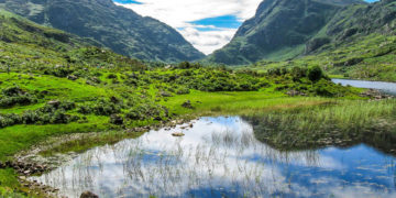 Money for taking care of the environment does not grow on trees