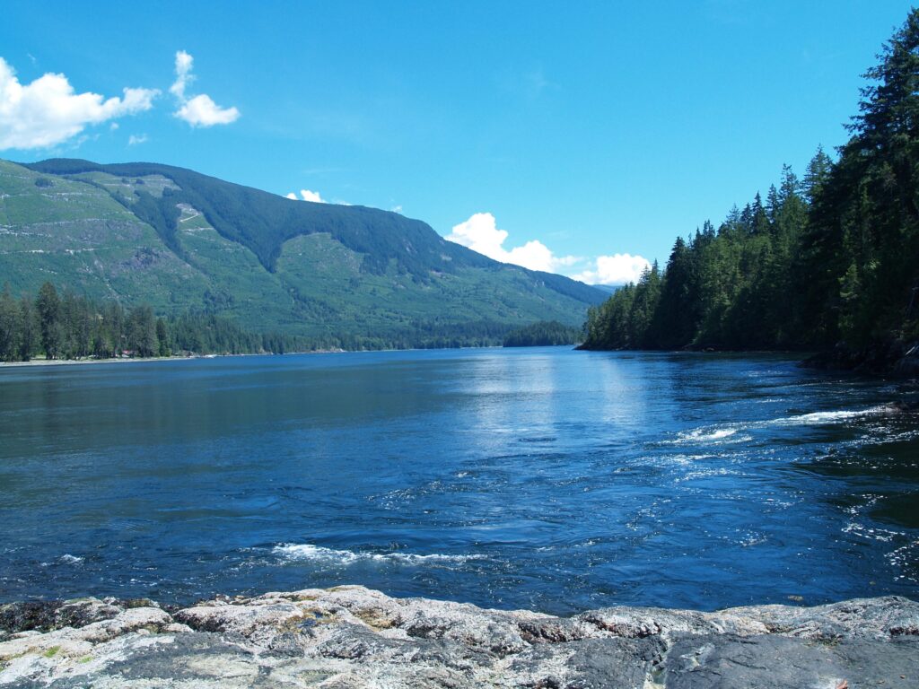 Clearcut mountainsides near Skookumchuck Narrows on BC's Sunshine Coast. Photo: Joan Baxter